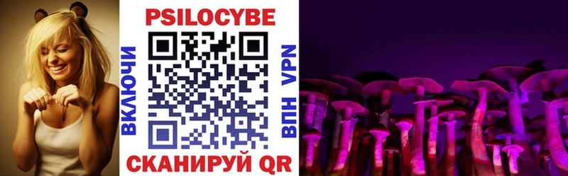 Купить где  Серафимович  Галлюциногенные грибы Cubensis 